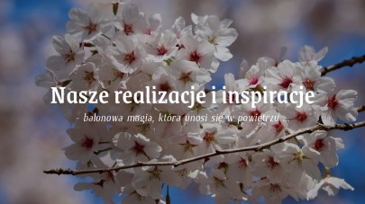 baner enikma blog
